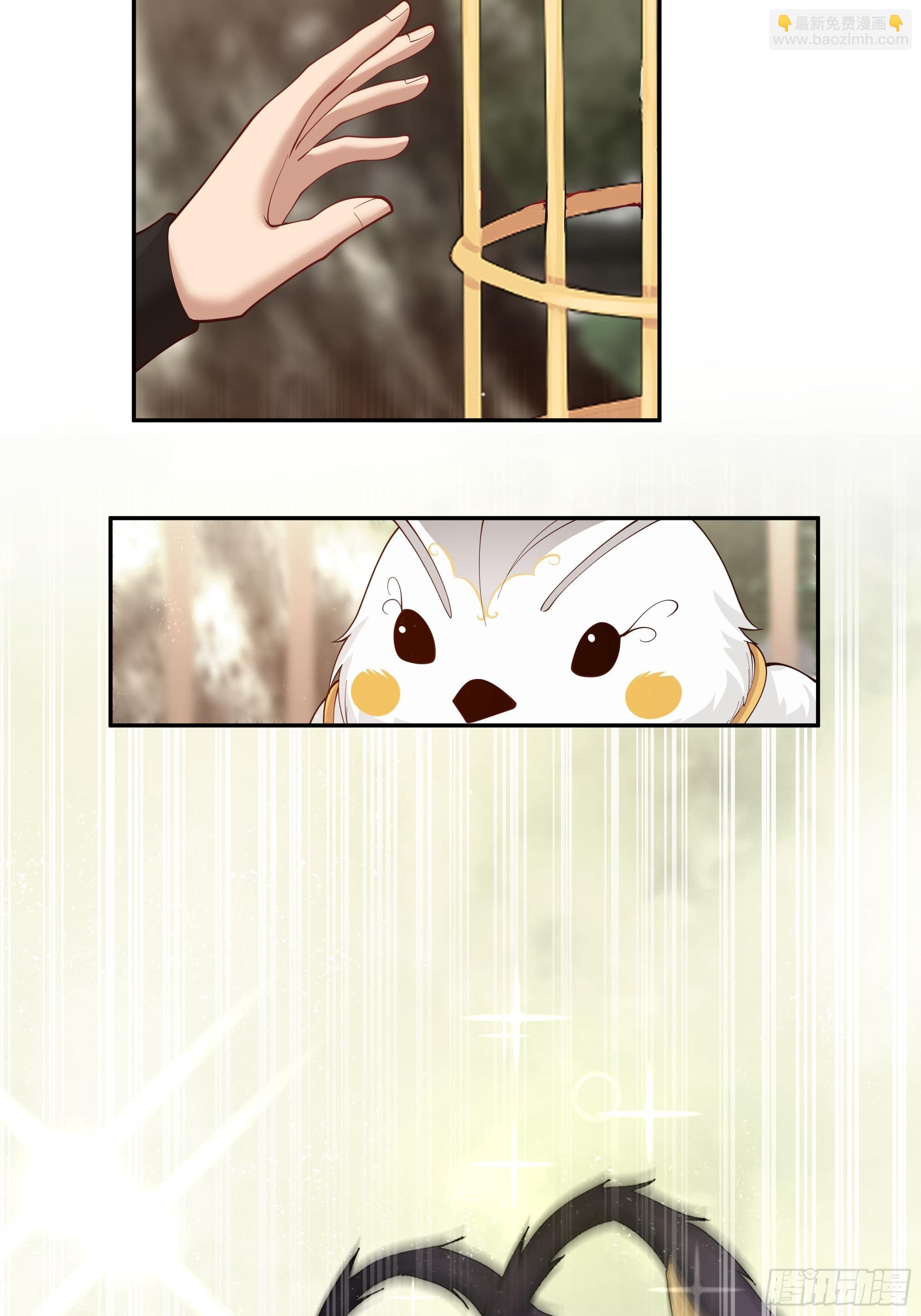 白雀无声(1/2)-第8话