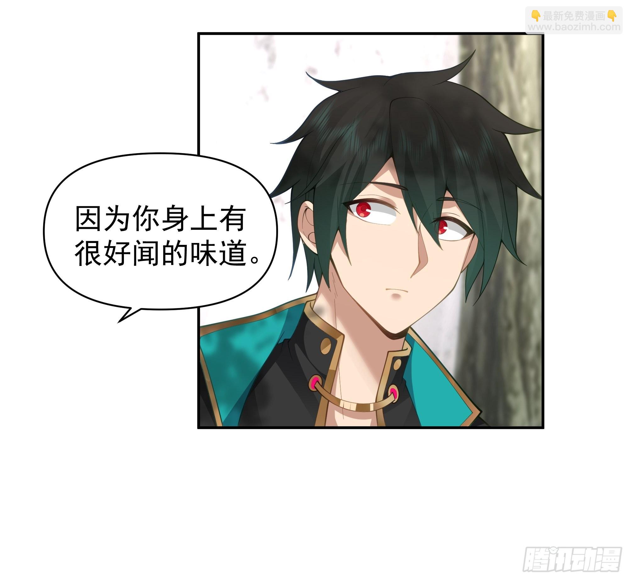 白雀无声(1/2)-第8话