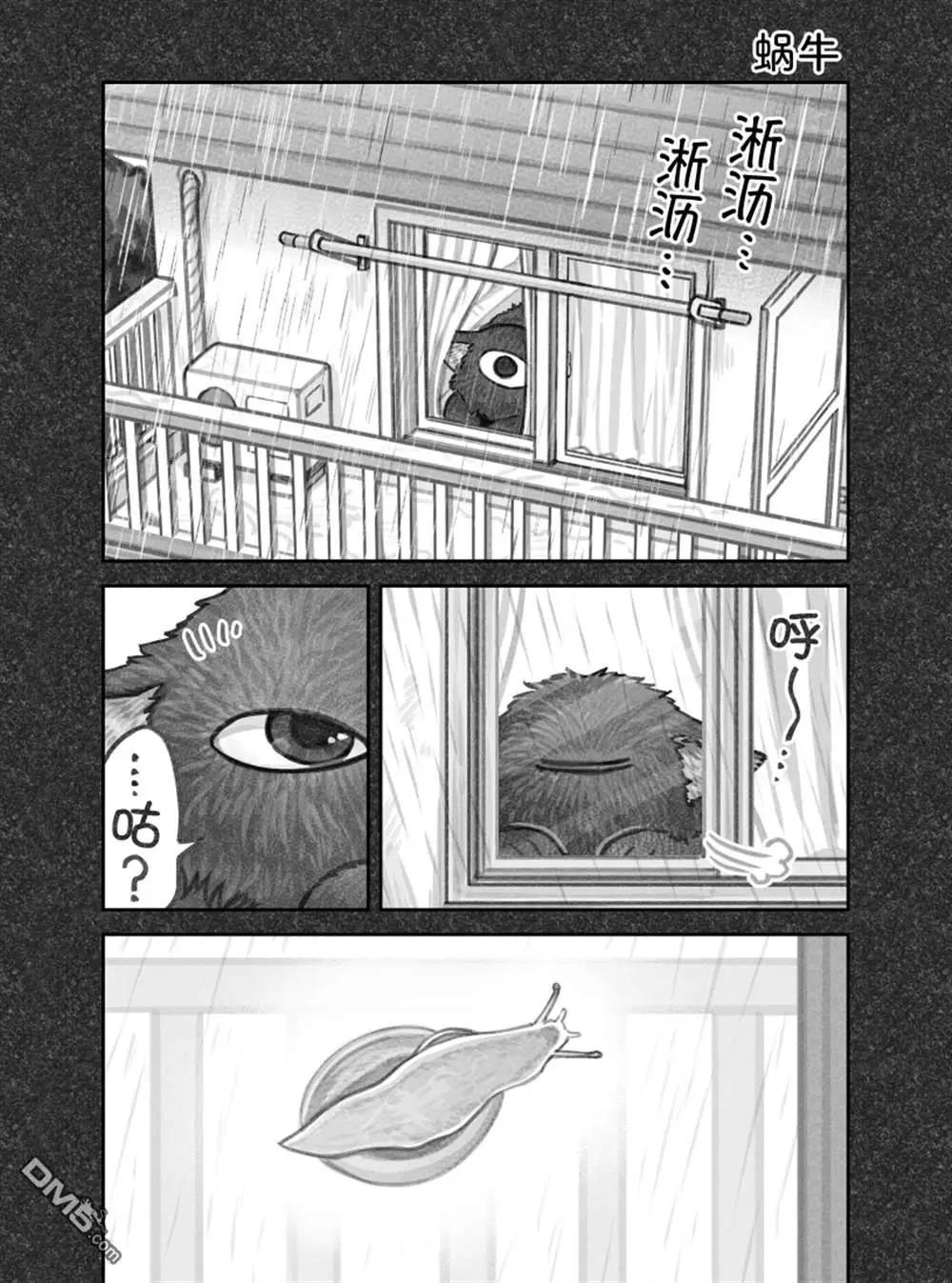 我撿了一隻貓 - 02部67話 - 1