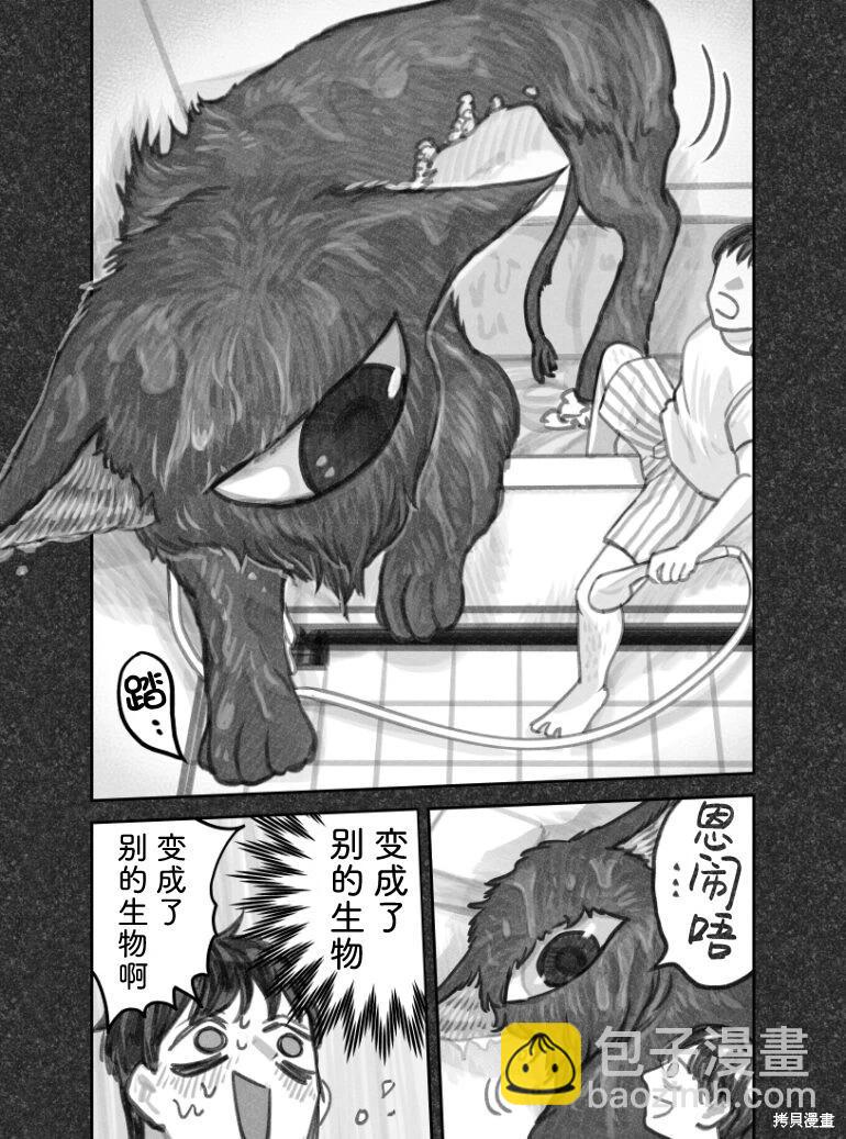 我撿了一隻貓 - 02部75話 - 1