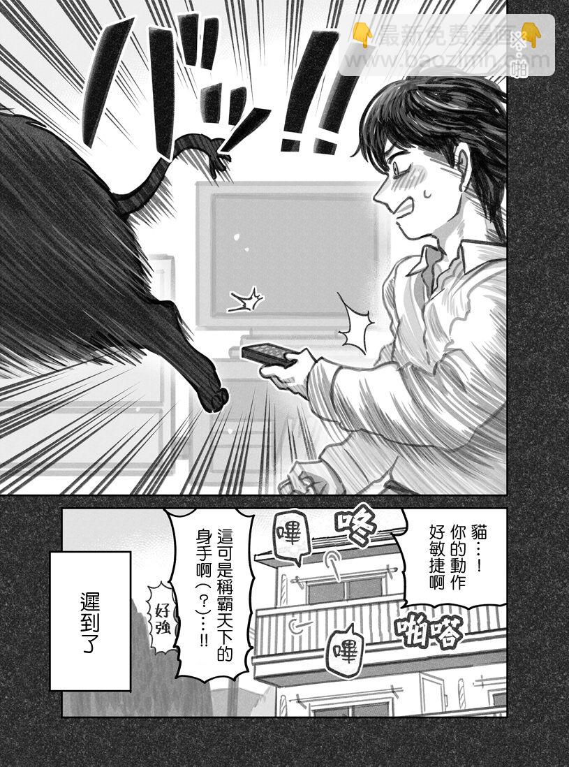 我撿了一隻貓 - 第14話 - 3