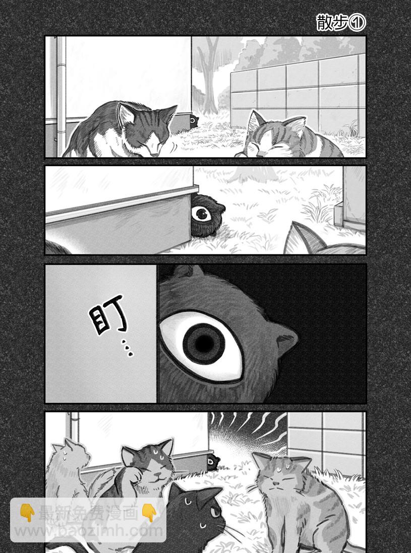 我撿了一隻貓 - 第10話 - 2