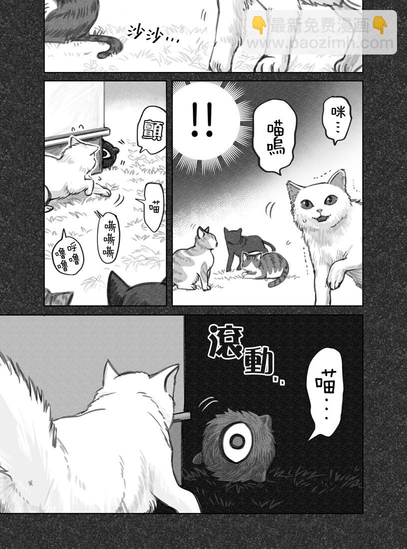 我撿了一隻貓 - 第10話 - 1