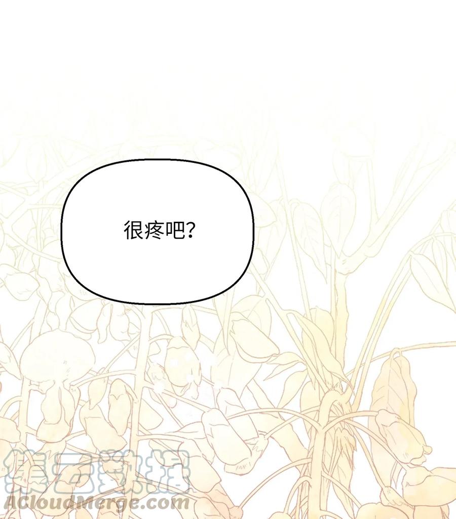 62 普伦西亚迎战天界的挑衅(1/2)-第62话