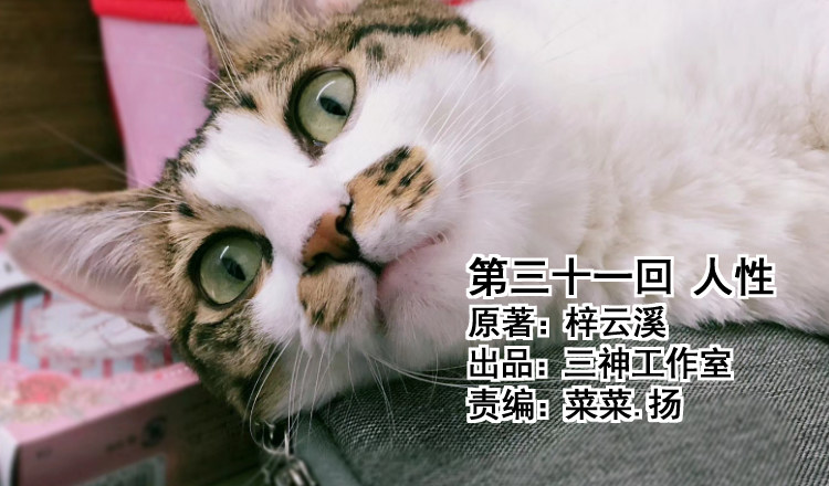 第三十一回 人性(1/2)-第34话