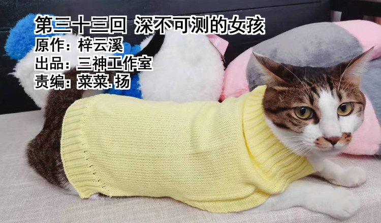 第三十三回 深不可测的女孩(1/2)-第36话