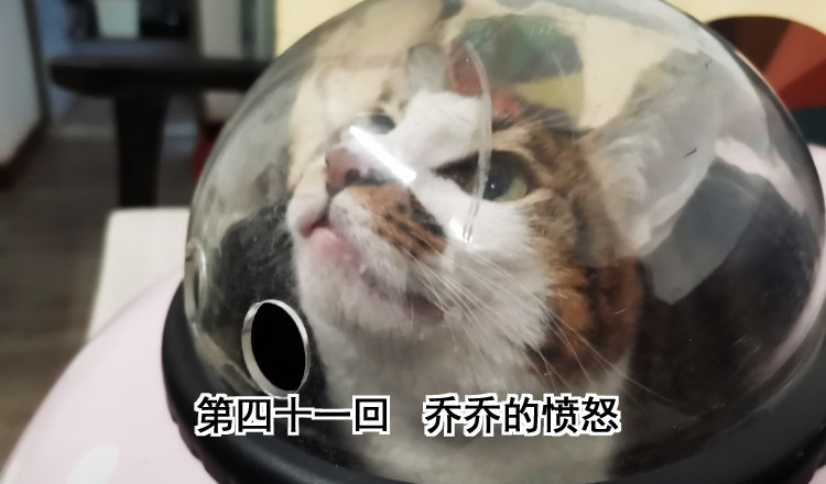 第四十一回 乔乔的愤怒(1/2)-第44话