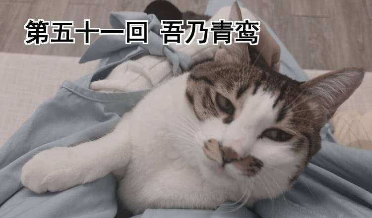 第五十一回 吾乃青鸾(1/3)-第54话