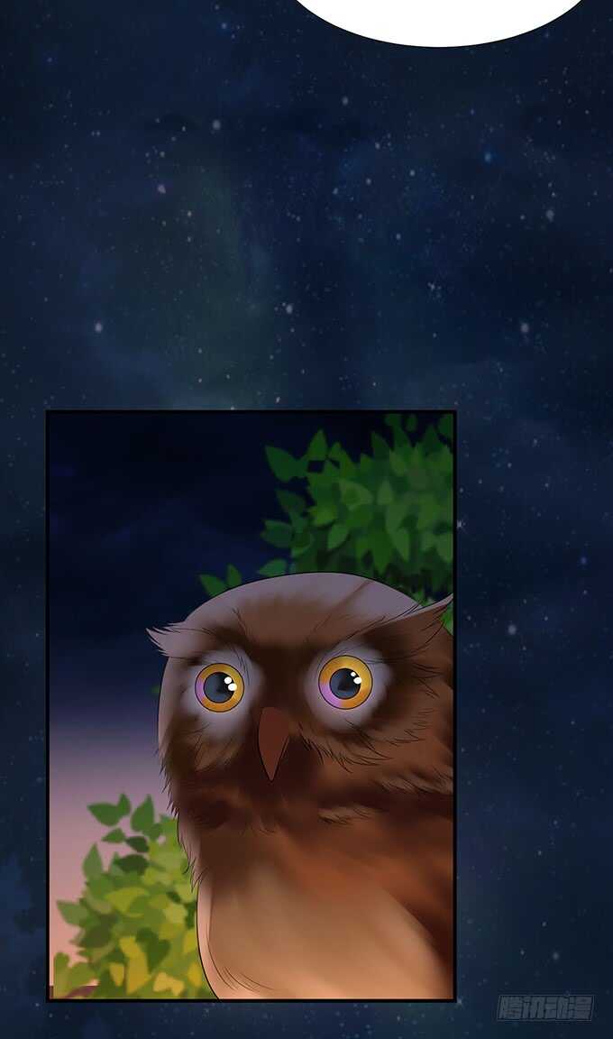 久别重逢与卿欢(1/2)-第104话