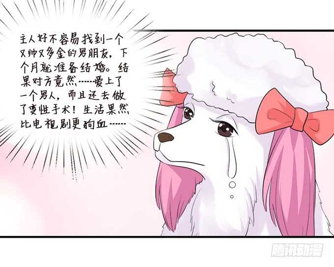 新男朋友，卡欧？(1/2)-第144话