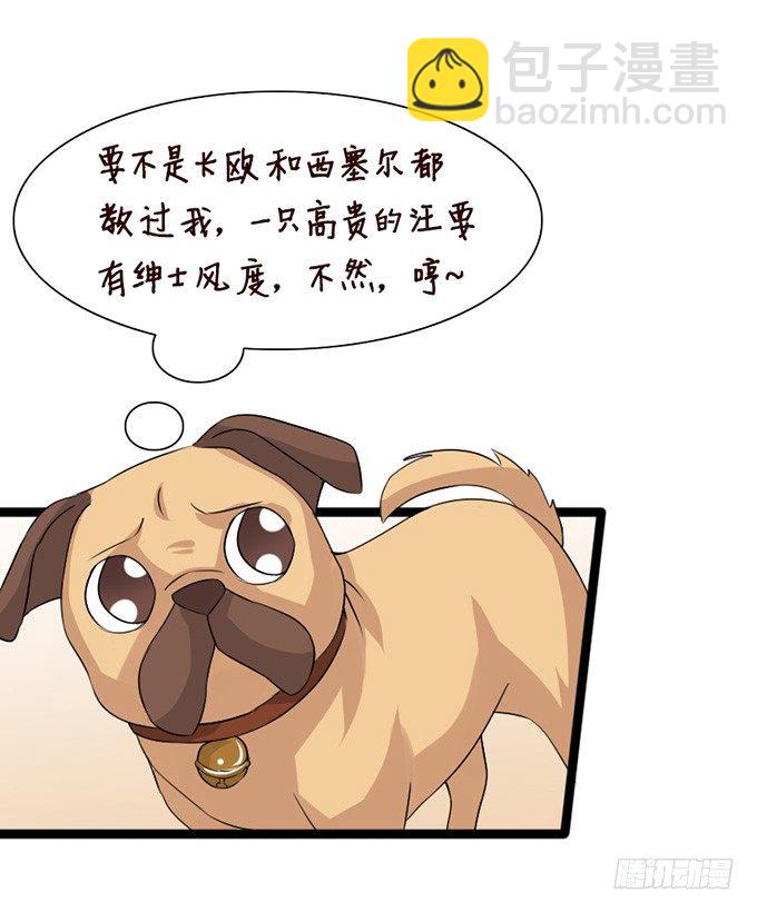 以爱之名的陷阱(1/2)-第24话