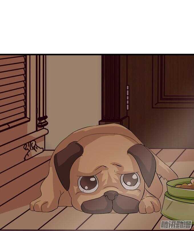 卧室里的秘密(1/2)-第30话