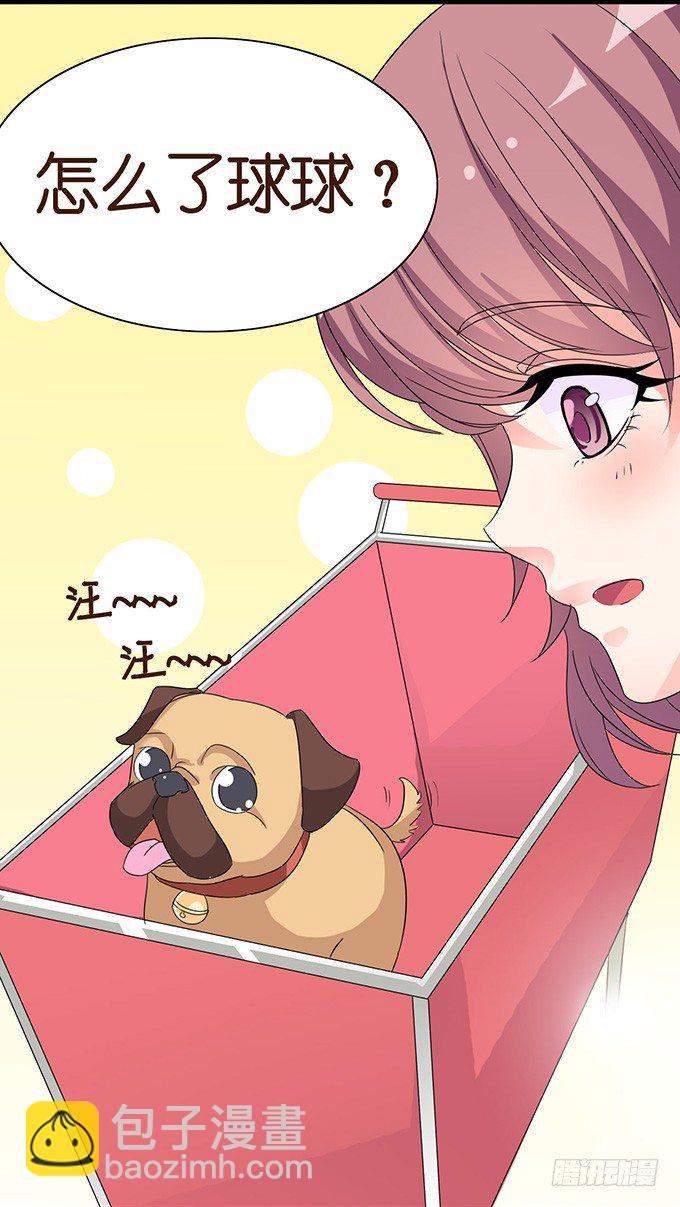 爱似龙卷风(1/2)-第6话