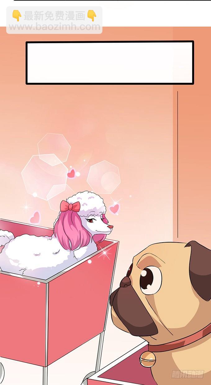 爱似龙卷风(1/2)-第6话