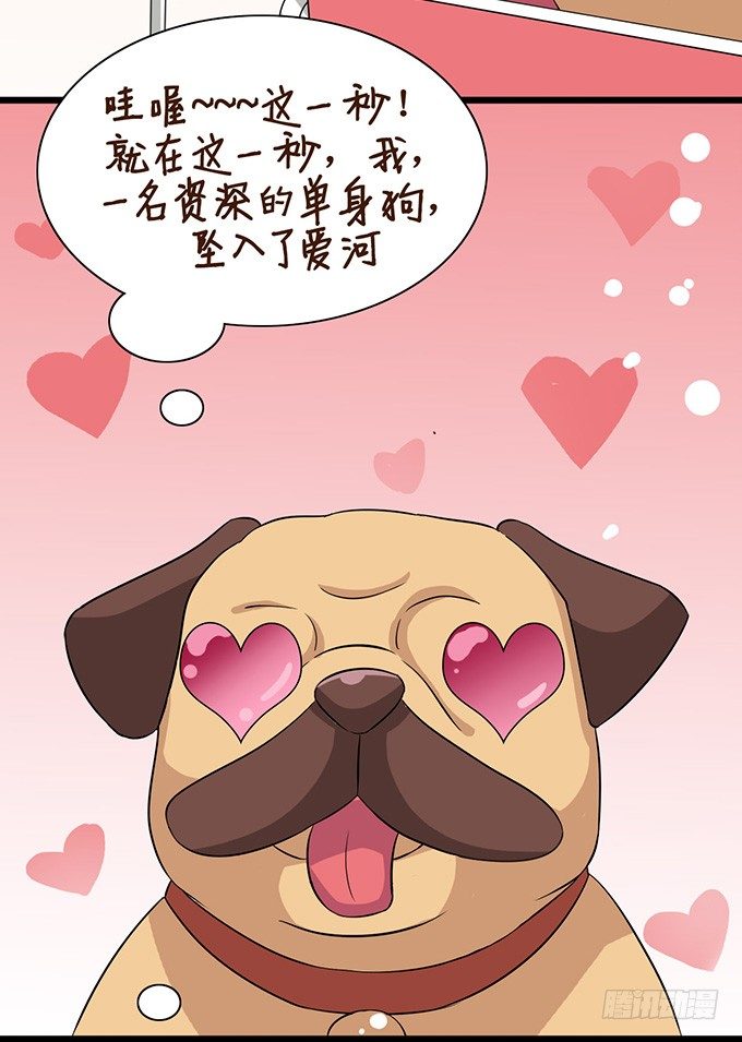 爱似龙卷风(1/2)-第6话