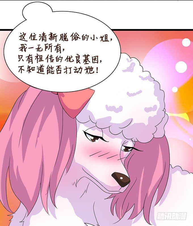 爱似龙卷风(1/2)-第6话