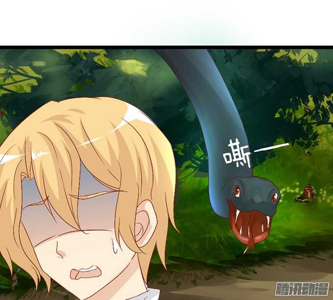 迷失御神岛(1/2)-第56话