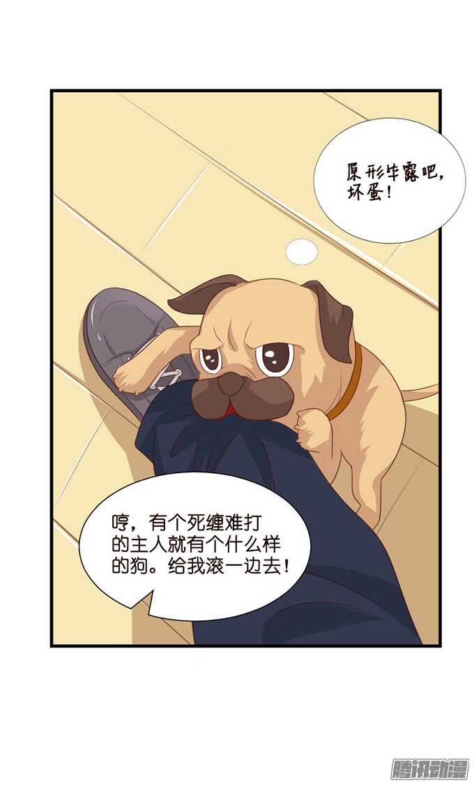 双重的骗局(1/2)-第62话