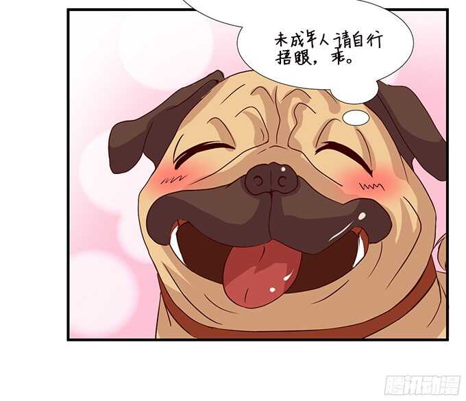 玫瑰鸳鸯浴(1/2)-第90话