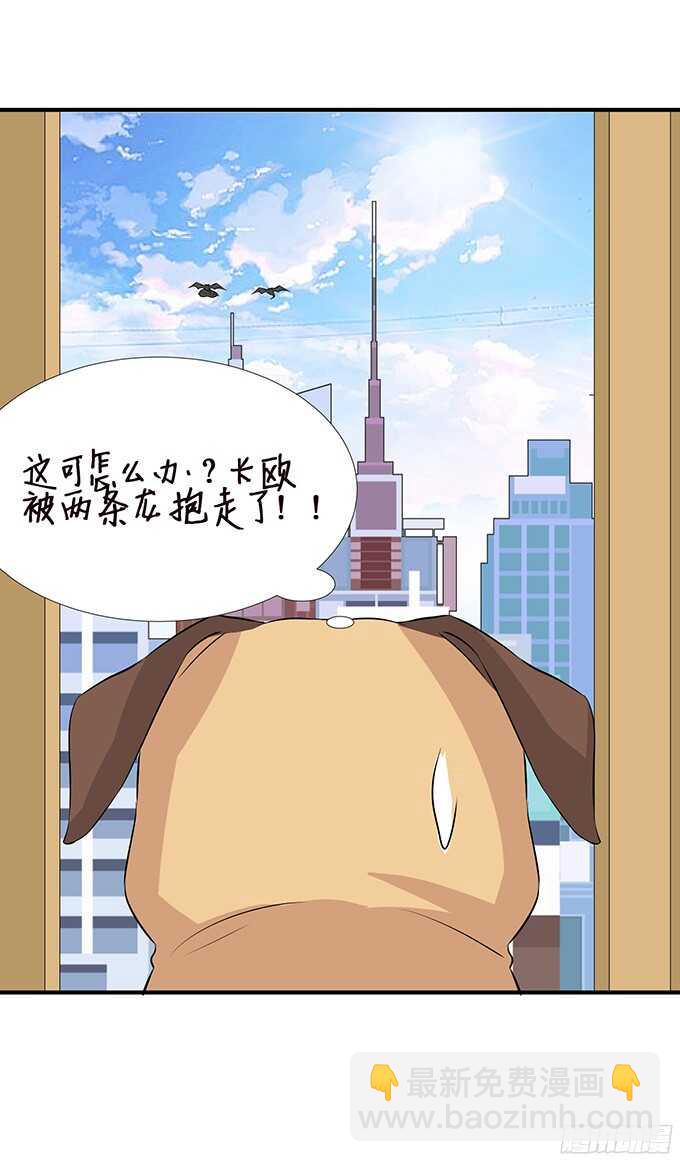 未知的新郎(1/2)-第96话