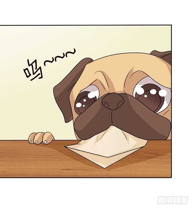 不是你们想的那样(1/2)-第100话