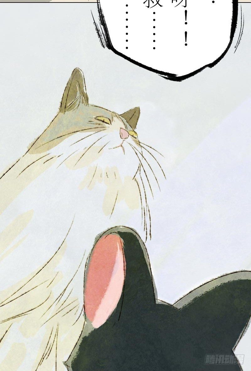 蠢就一个字-第12话