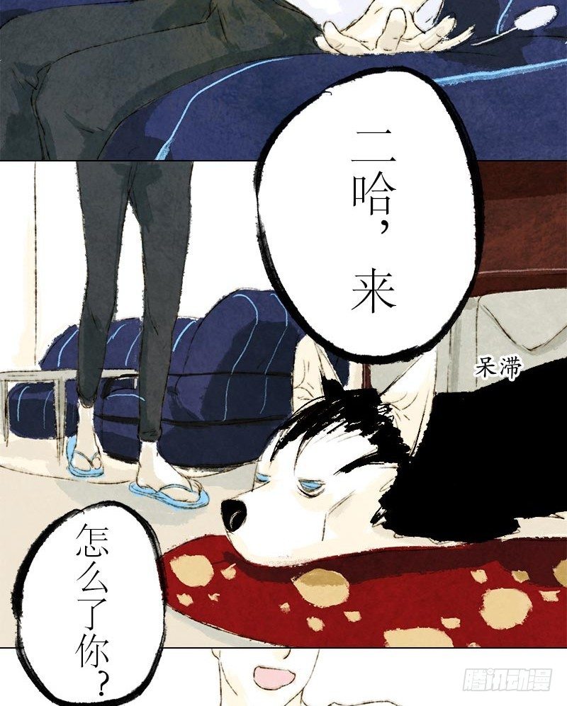 蠢就一个字-第12话