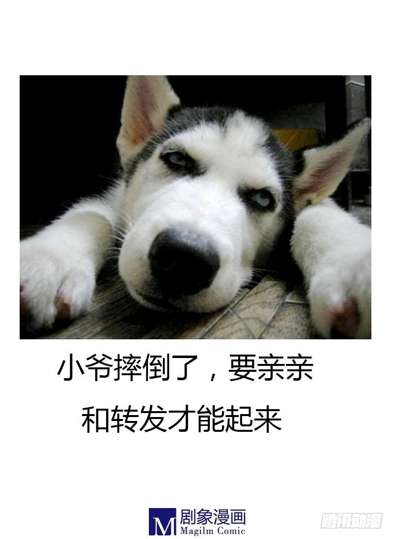 说走就走-第14话