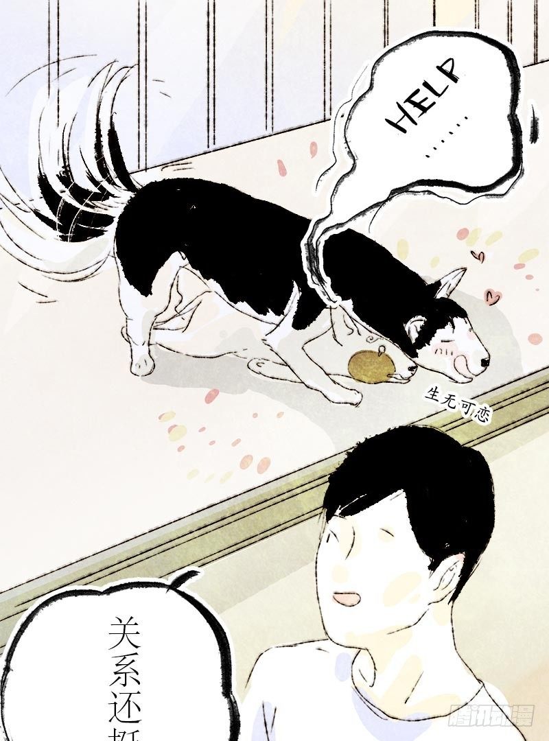 男狗的友谊-第16话