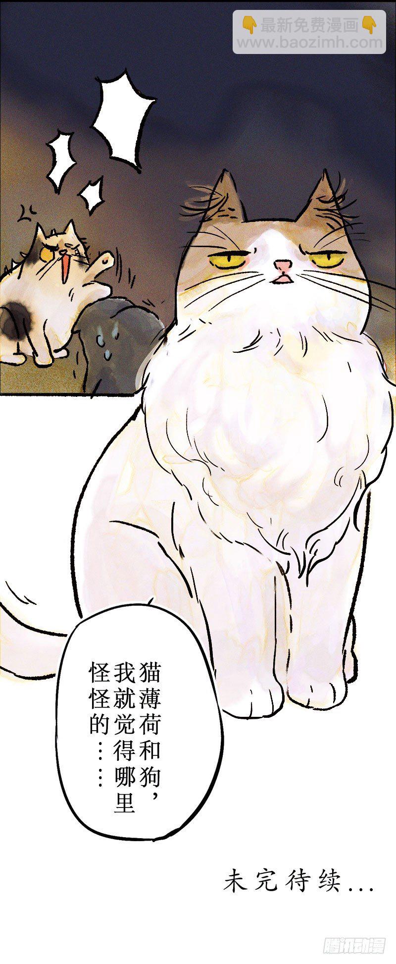 猫薄荷与狗-第22话