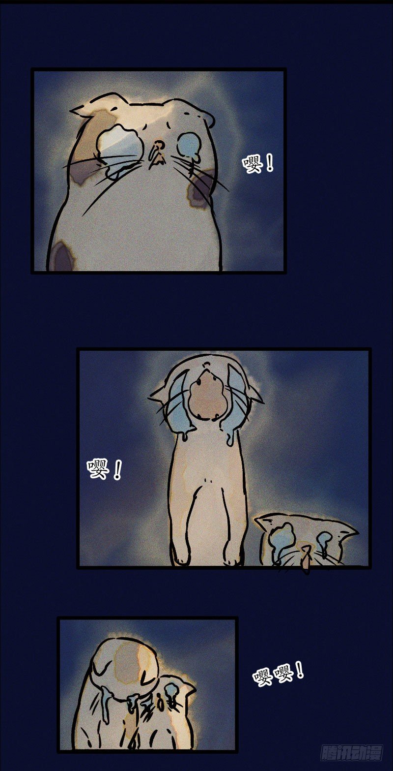 猫薄荷与狗-第22话