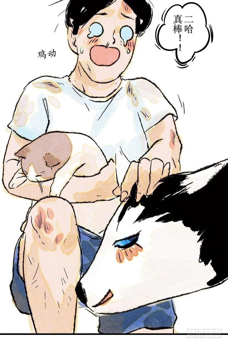 做梦都要学习-第28话