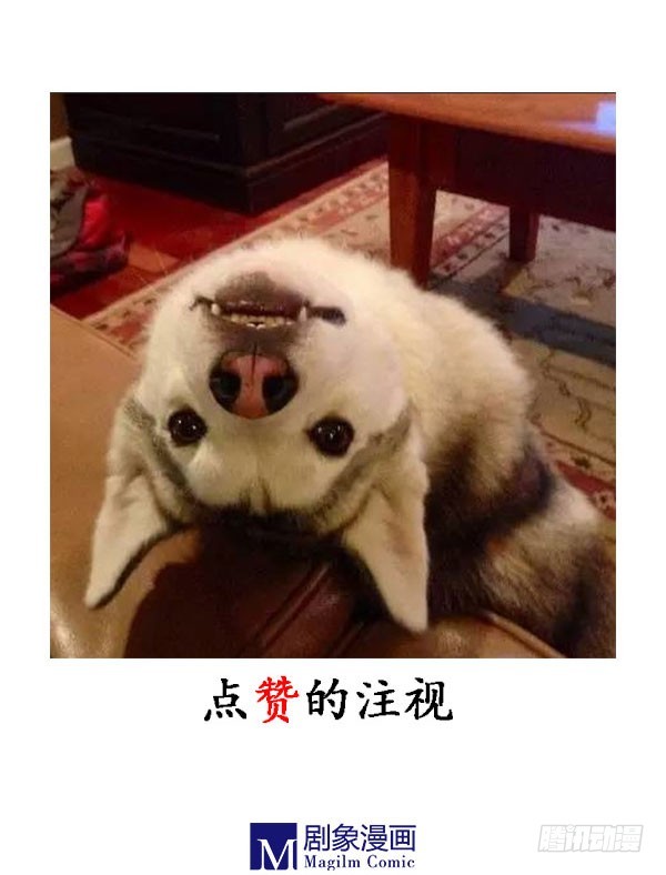 天&ldquo;哈&rdquo;食月-第44话