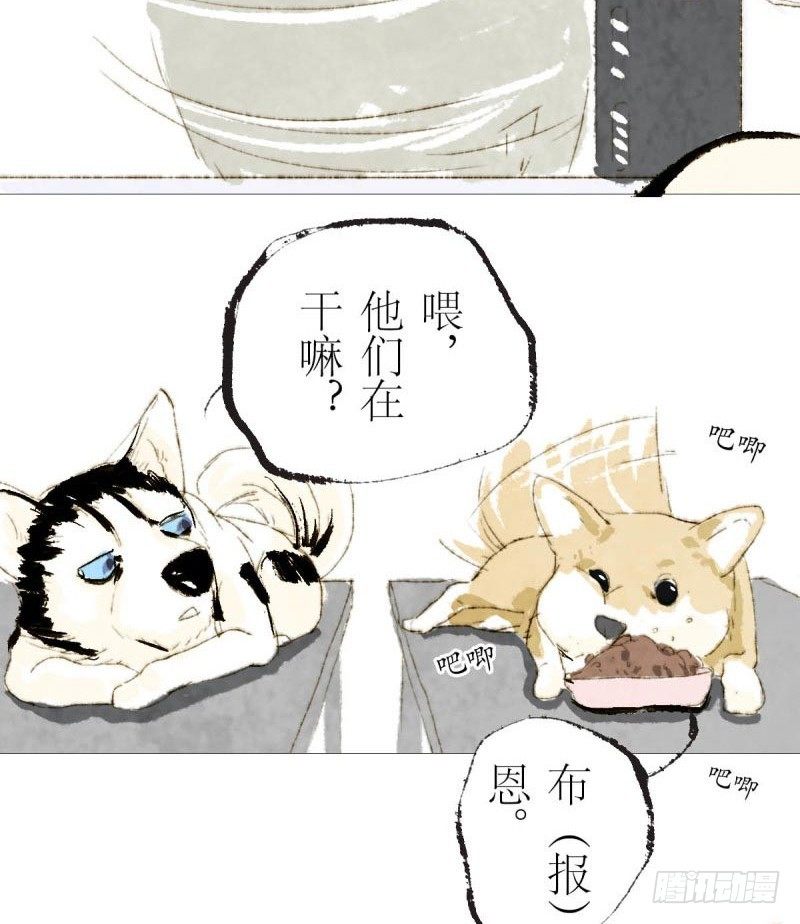 狗肉全席要吗？-第6话