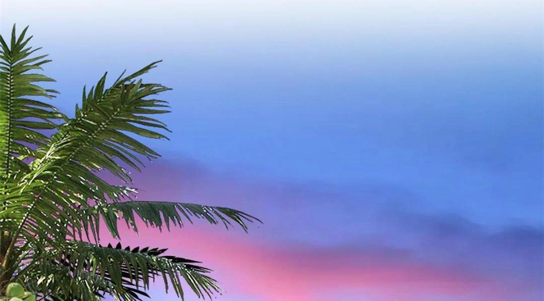 81 和二哥一起拍戏(1/2)-第82话