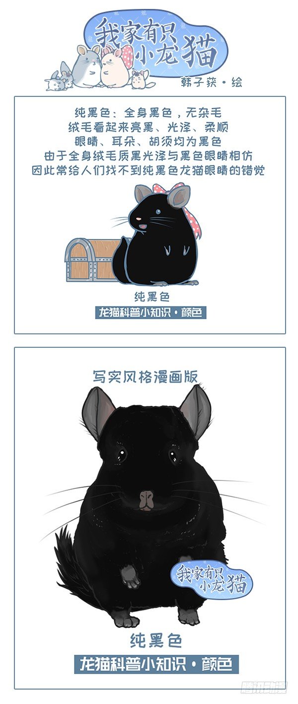 第119个小故事（3）-第130话