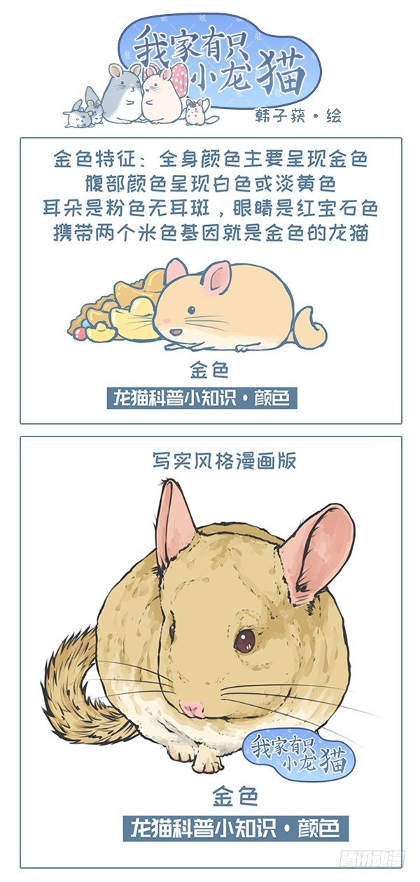 第119个小故事（5）-第134话