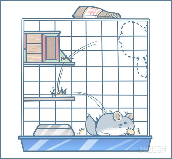 第146个小故事（下）-第206话