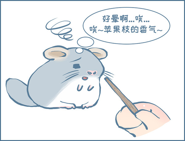 向北京出发（6）-第228话