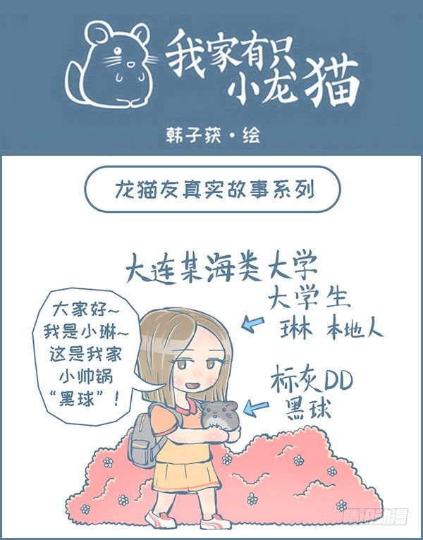 龙猫友的真实故事-1-第234话