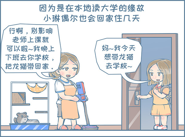 龙猫友的真实故事-1-第234话