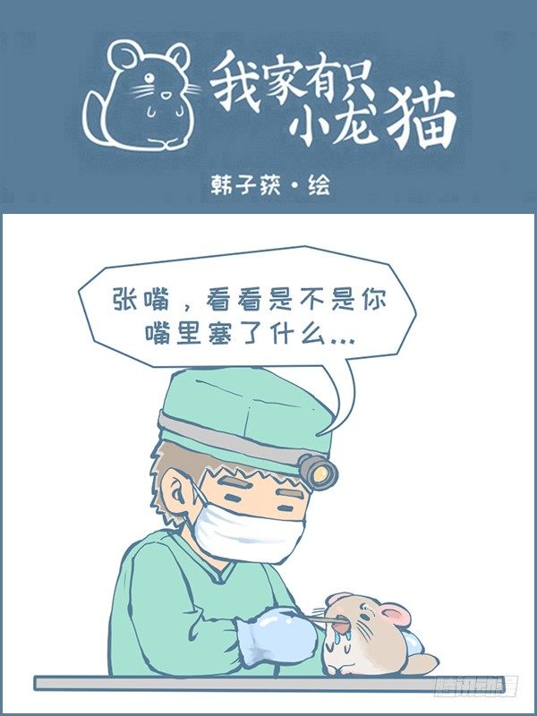 真实的龙猫友故事&mdash;菟丝丝（下）-第238话