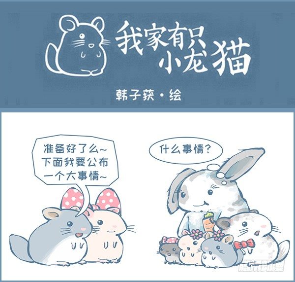 第160个小故事（上）-第244话