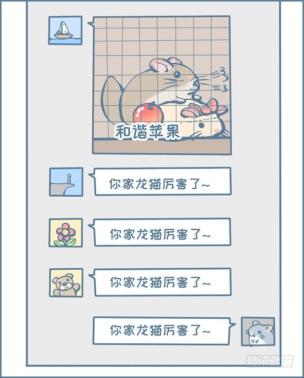 龙猫监控摄像头（2）-第268话