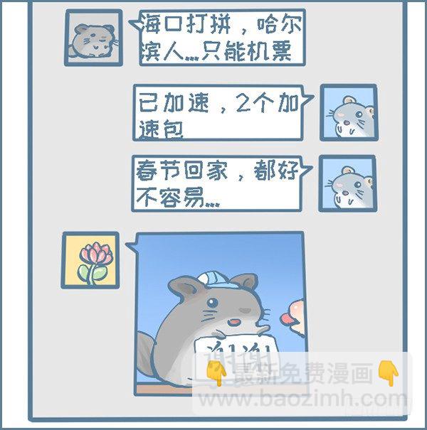 在外打拼，回家过年（1）-第284话