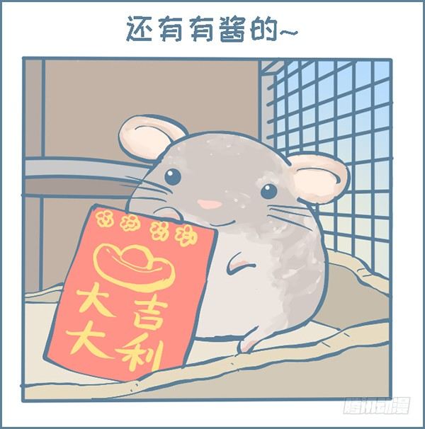 过年龙猫群的故事（上）-第294话