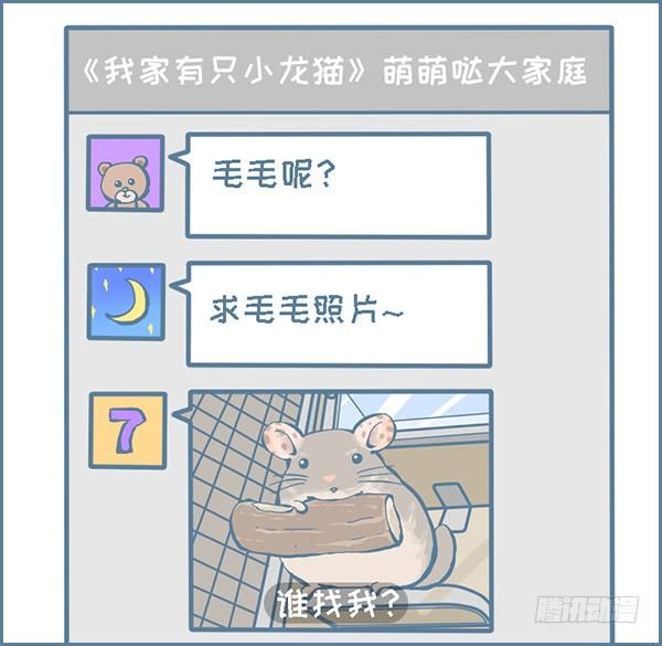 龙猫毛毛的有趣照片（上）-第304话