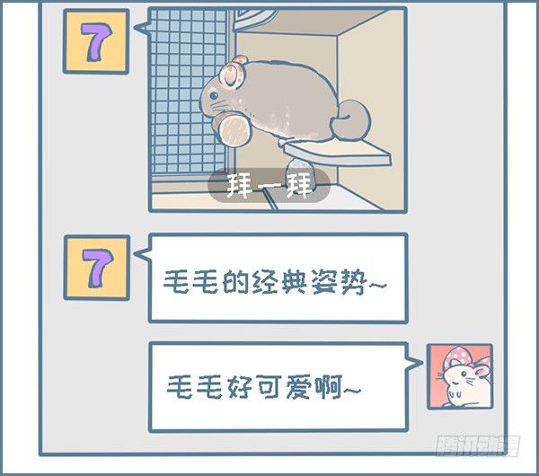 龙猫毛毛的有趣照片（上）-第304话