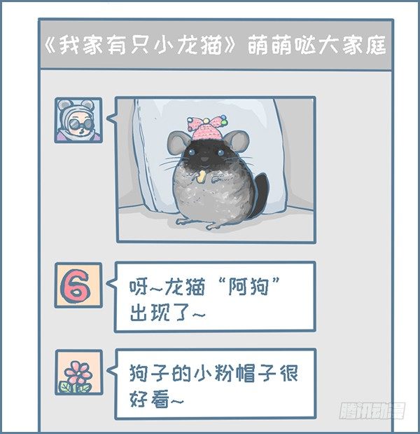 时尚的龙猫阿狗（上）-第306话