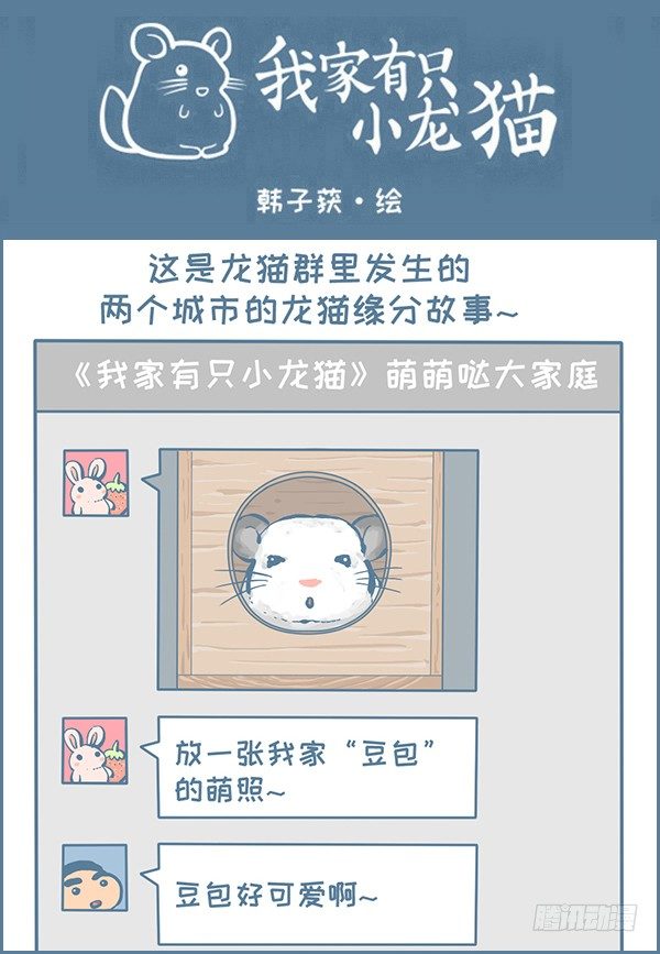 龙猫千里认亲（上）-第308话